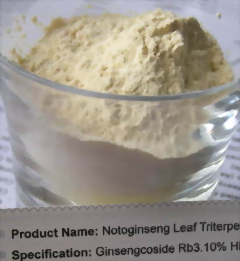 Cách dùng lá tam thất bắc 2