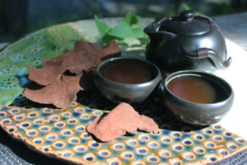 tra-ha-thu-o-1