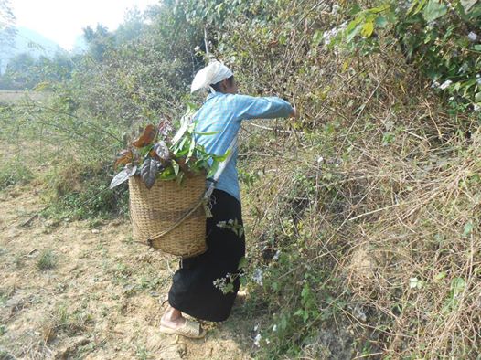 Một số hình ảnh hoạt đông của nhà thuốc 2 Một số hình ảnh hoạt đông của nhà thuốc 2