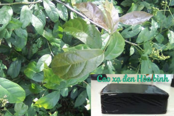 cao-xa-den