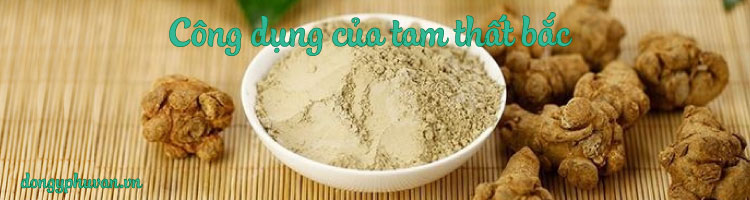 Tác dụng của tam thất bắc